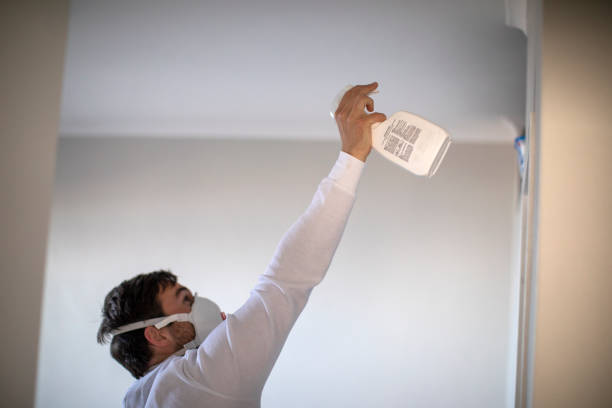 Best DIY Mold Remediation Support Services in Rosedale, MD