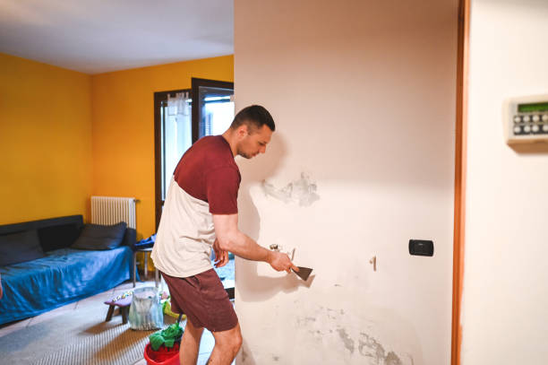 Best Crawl Space Mold Remediation in Rosedale, MD